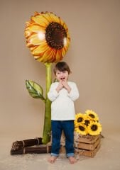 Ayçiçeği Folyo Balon Airwalker 5 Feet